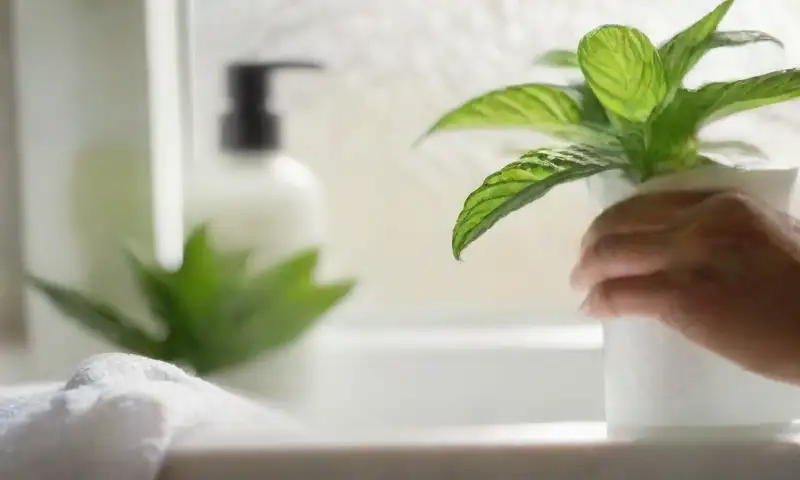Un elegante lavabo de mármol blanco exhibe productos de cabello ordenados, con luz suave y detalles naturales como una planta y menta fresca