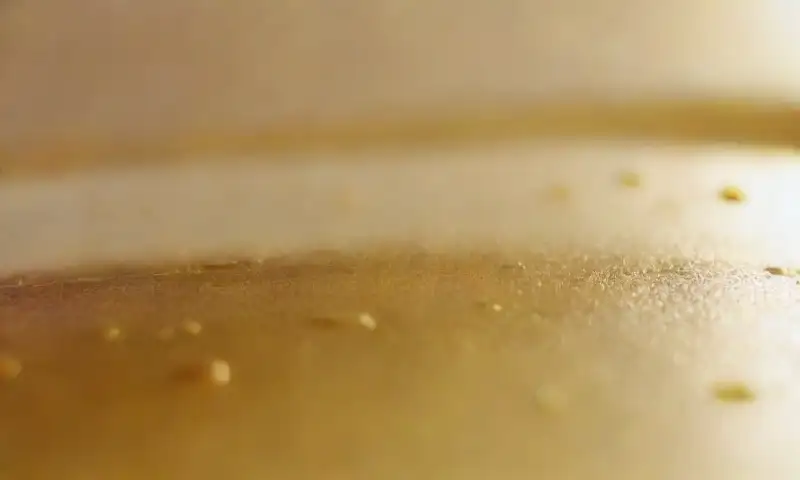Un plato de Petri con un líquido dorado y aceitoso presenta esferas de varios tamaños y refleja una suave luz natural