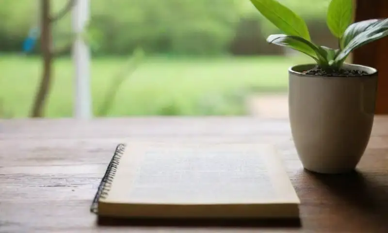 Un diario abierto sobre una mesa de madera, con luz suave, una taza de té y una planta verde, invita a la introspección