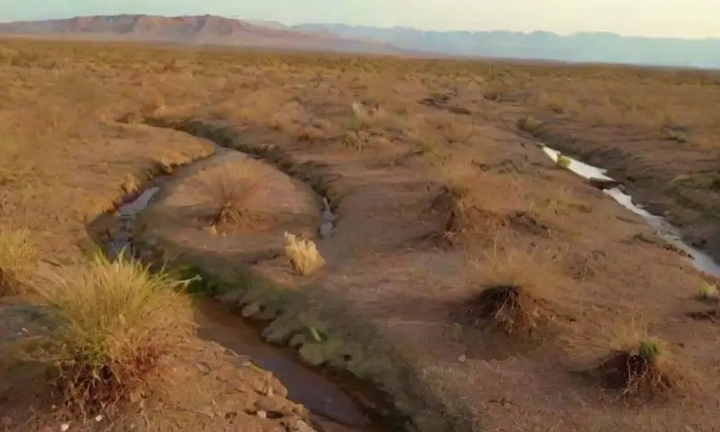 Un paisaje árido con tierra agrietada
